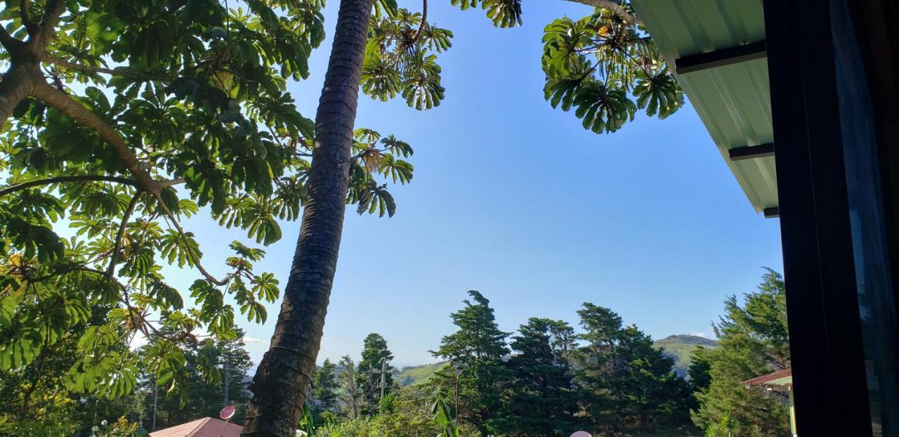 Cabin/Studio,1120096059:JPEG