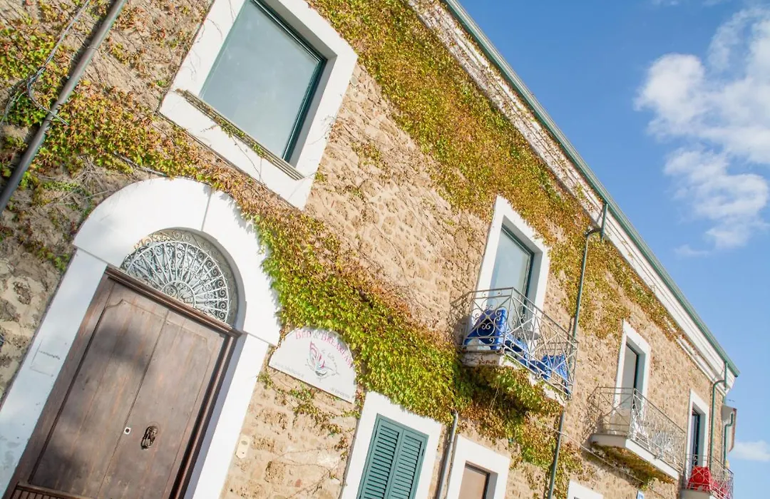 La Belle Vie B&B-1