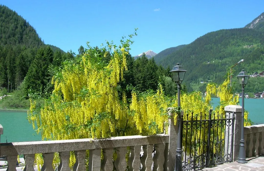 Appartamenti Regina-1