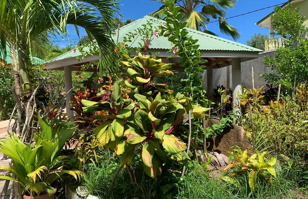 Island Bungalow-1