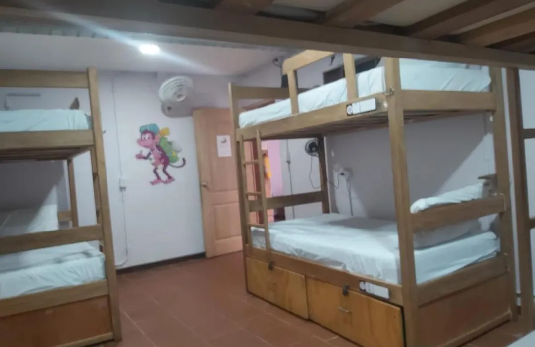 Purple Monkey Hostel-1
