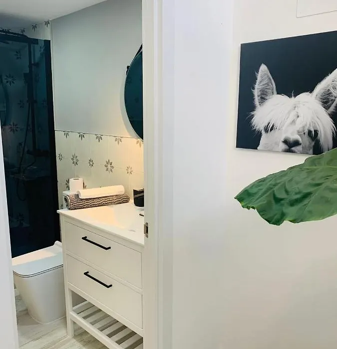 Coco Homes-1