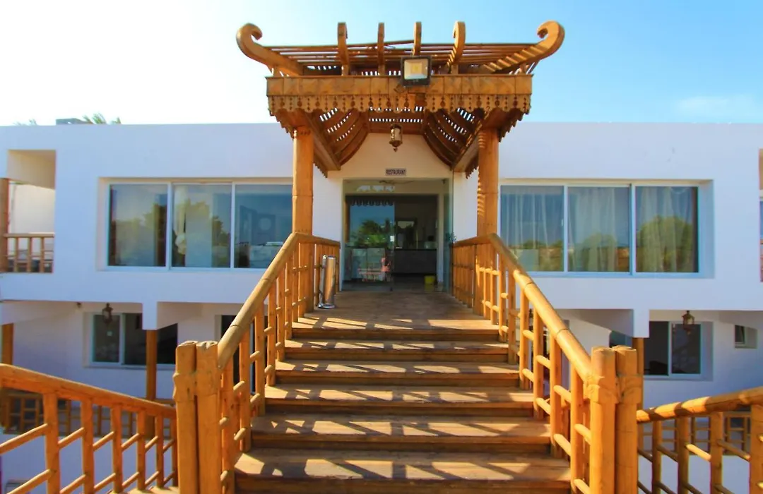 Panda Resort-1