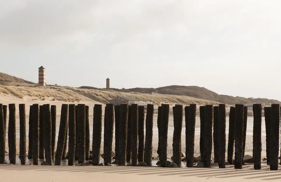 Hof Aan Zee-1