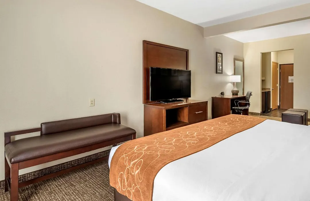 Comfort Suites Auburn Near I-69-1
