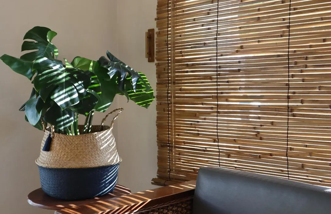 3B Wellness Hotel & Hostel Adults Only-1