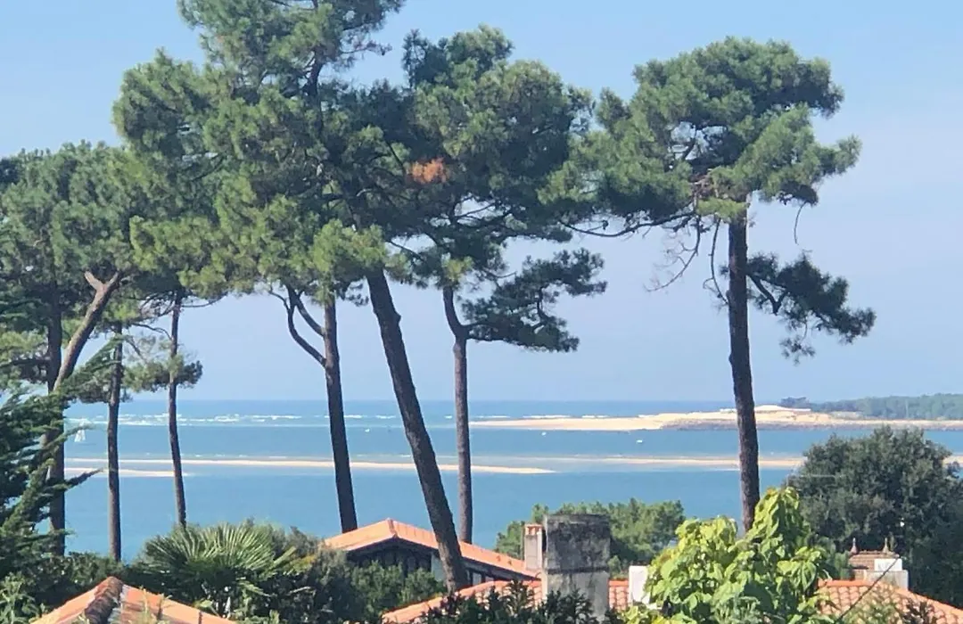 Chambre d’hôtes Pyla sur Mer-1