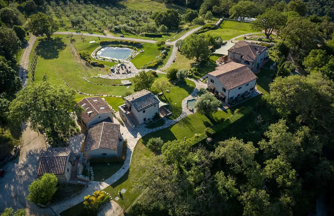 Sasseta Alta-1