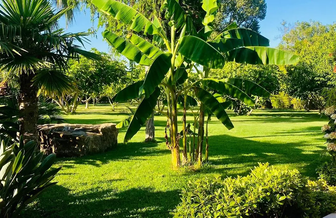 Le Cocoon Lodge du Gapeau&Massage-1