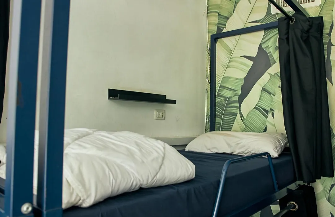 Jungle Jaffa Hostel Age 18 To 45-1