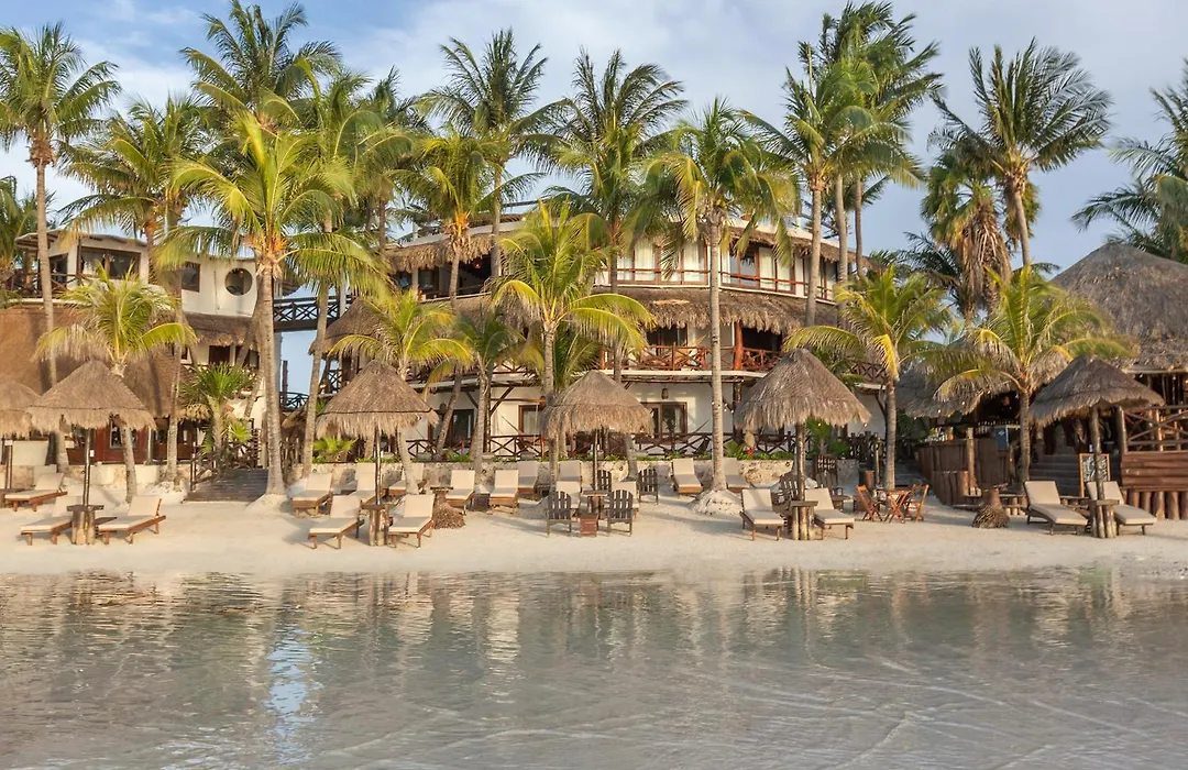 Beachfront Hotel La Palapa - Adults Only-1