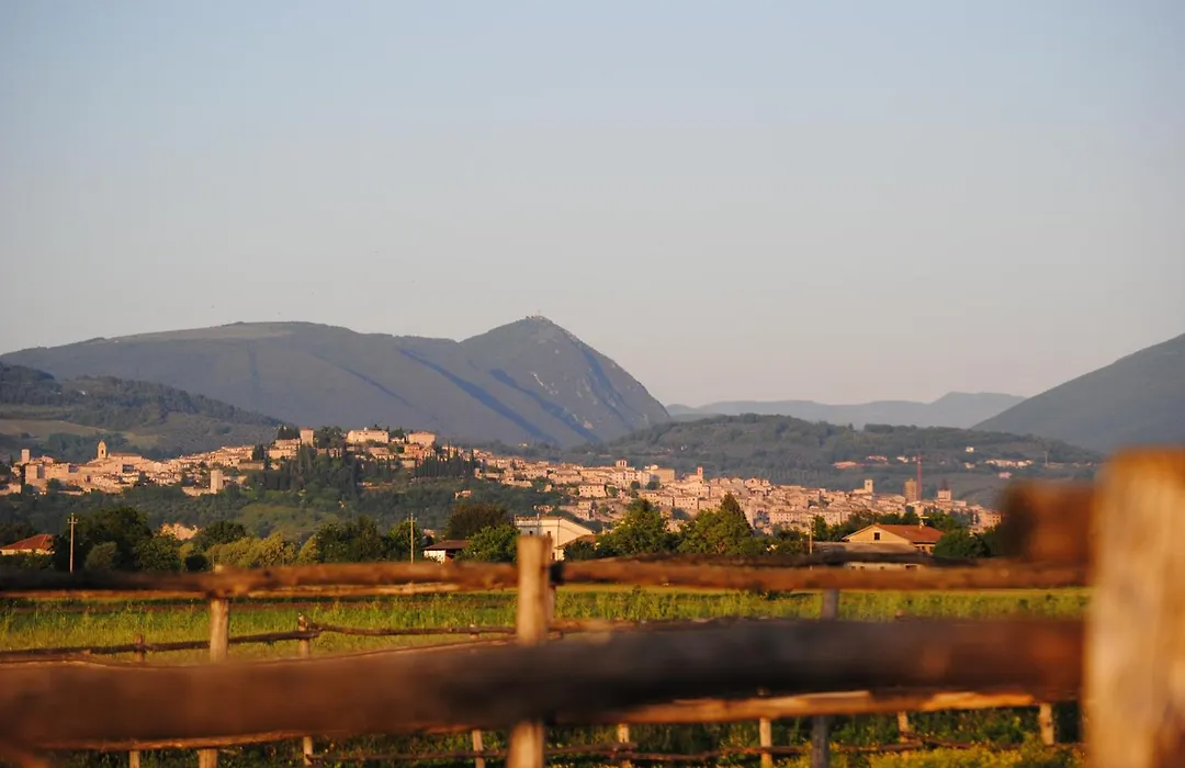 Agriturismo Il Barco-1