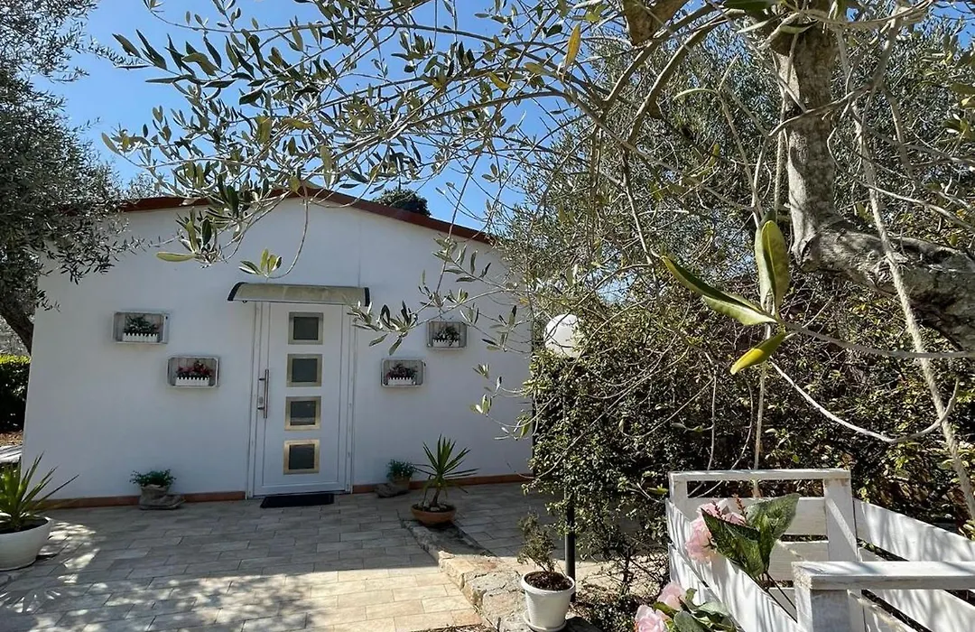 Villa Dama-1