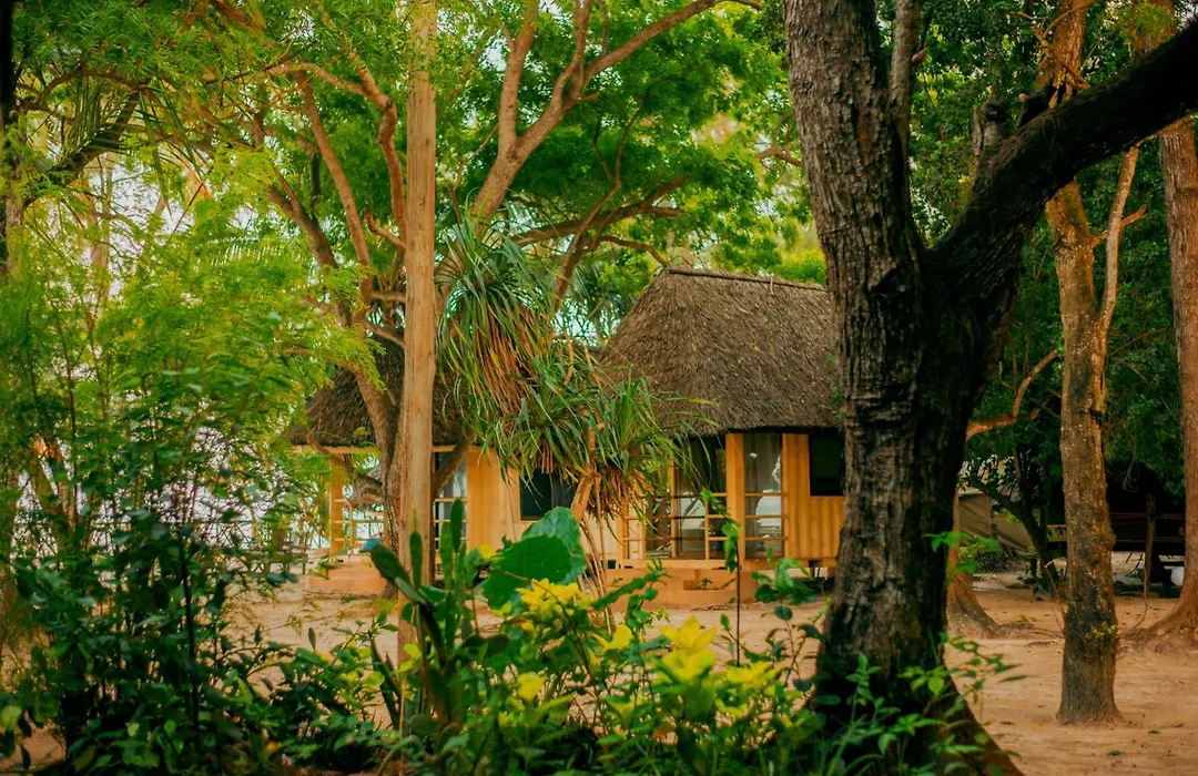 Mikadi Beach Camp&Backpackers-1