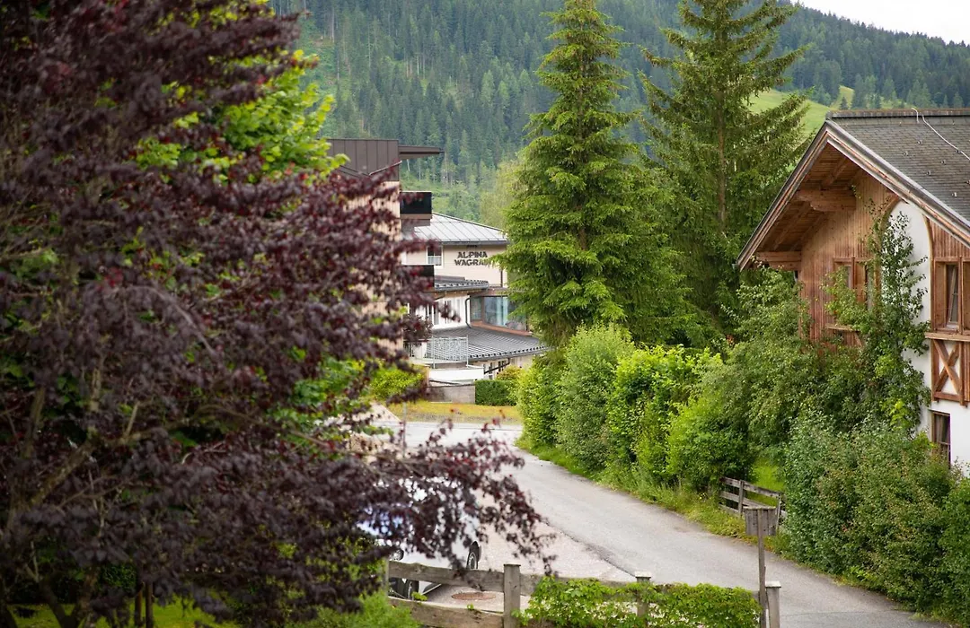 Pension Mozart-1