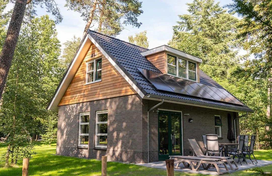 RCN het Grote Bos-1