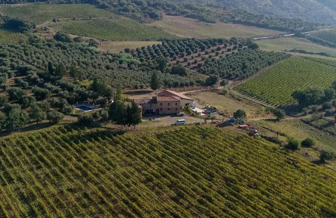 Luce di Vino-1