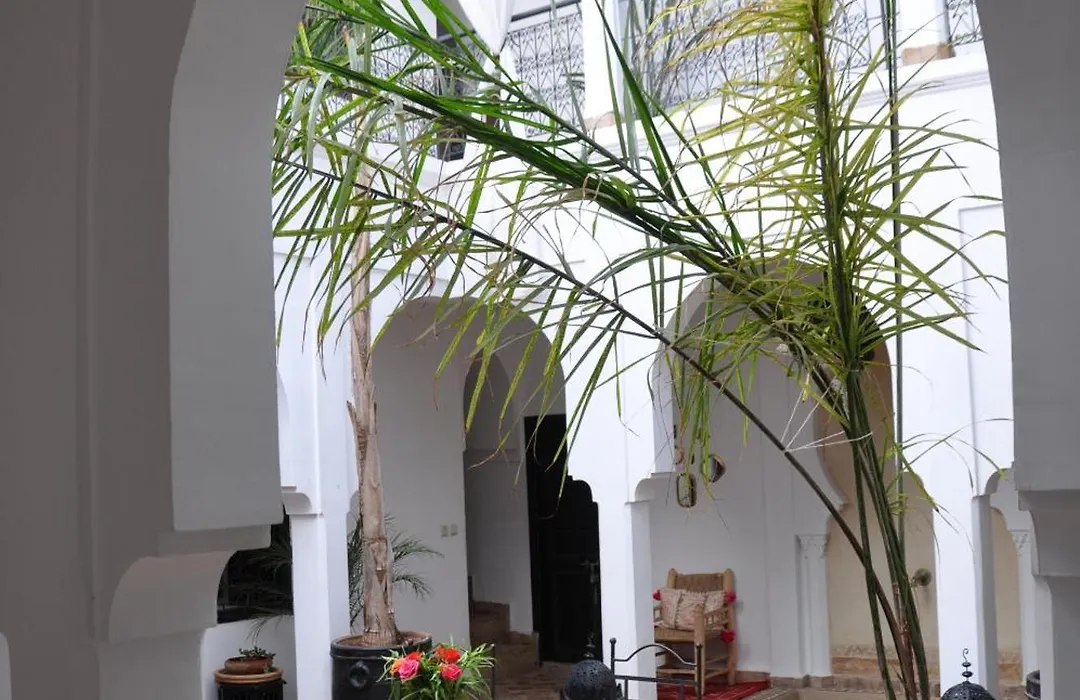 Riad Sin-1