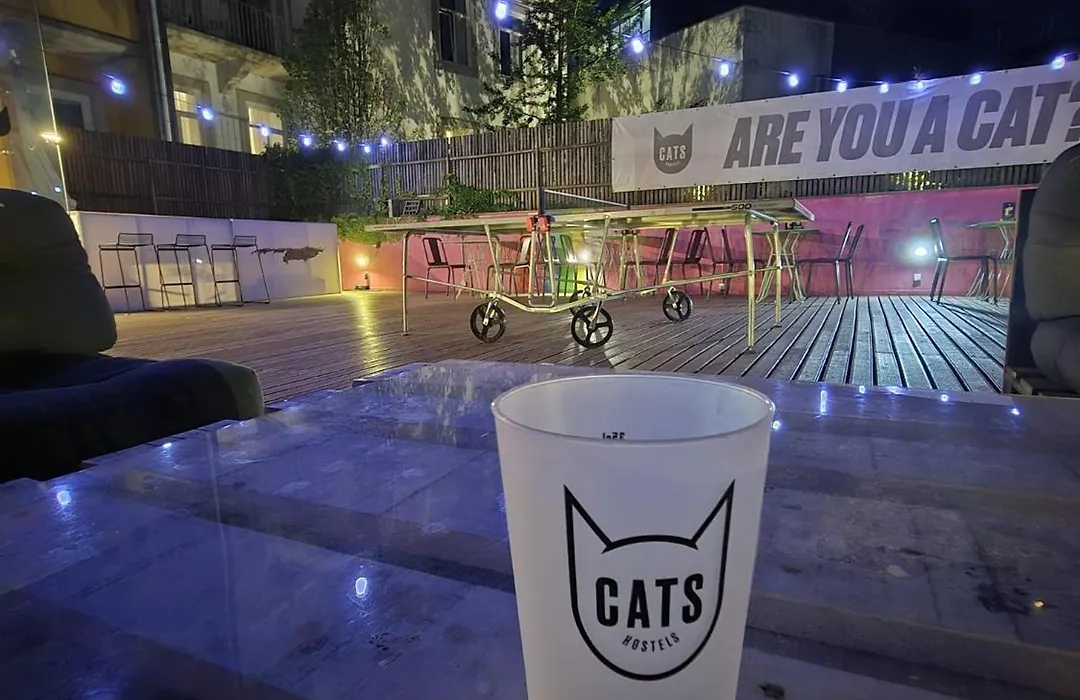 Cats Porto Hostel-1