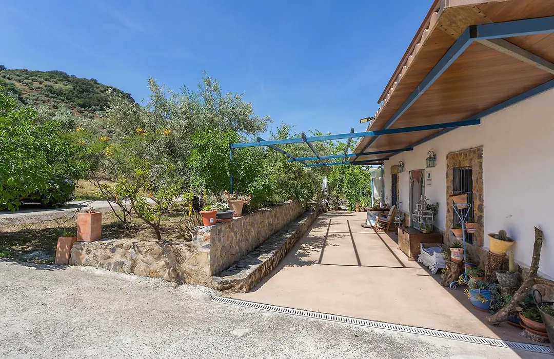 Vivienda rural del salado-1