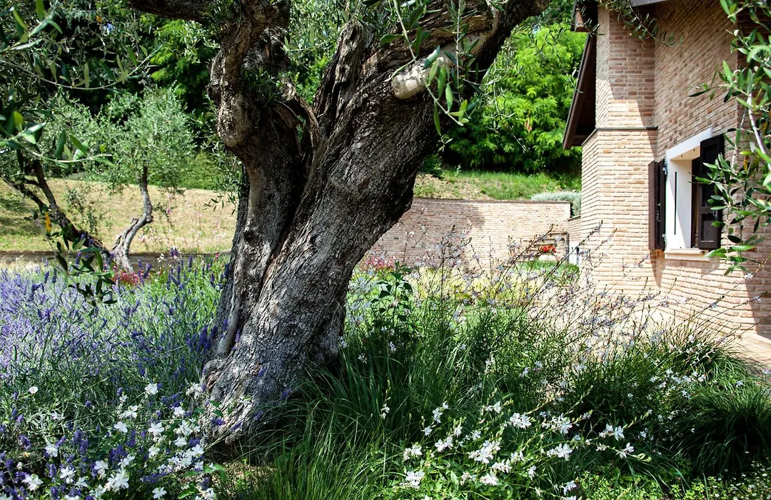Resort Villa Paola-1