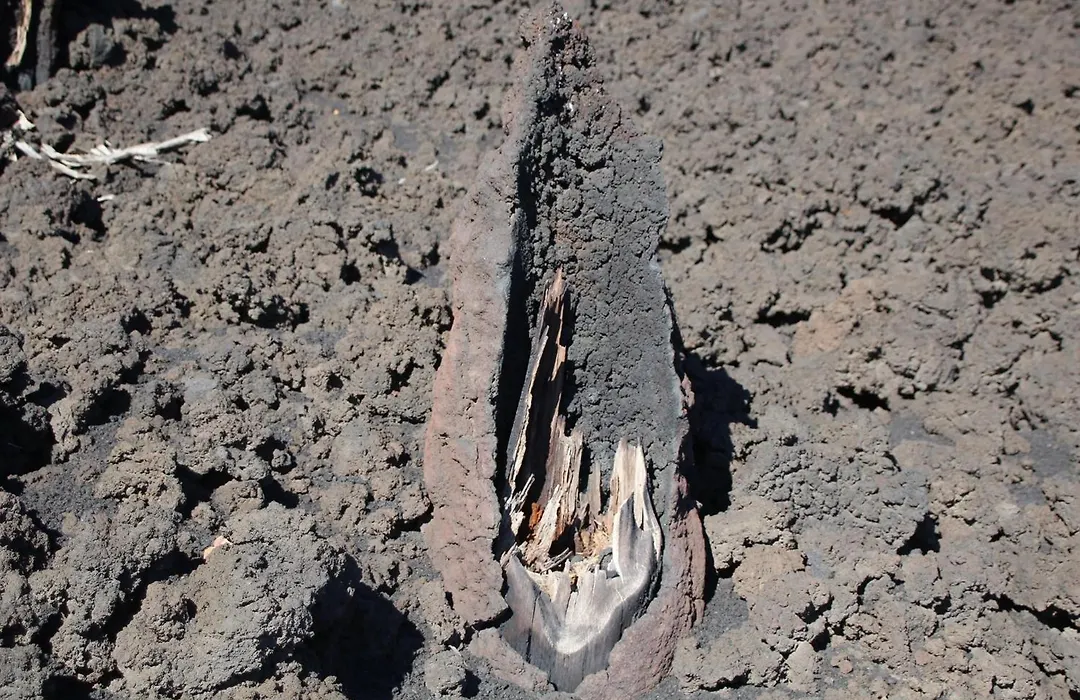 Rifugio Il Ginepro dell'Etna-1