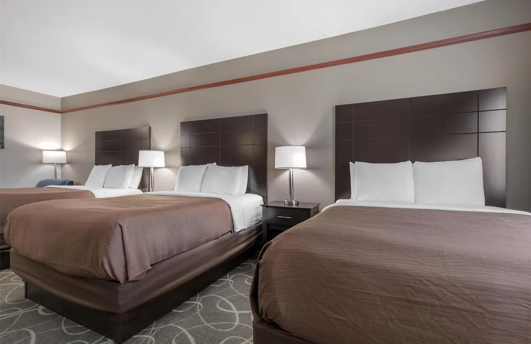 Best Western Limestone Inn And Suites-1