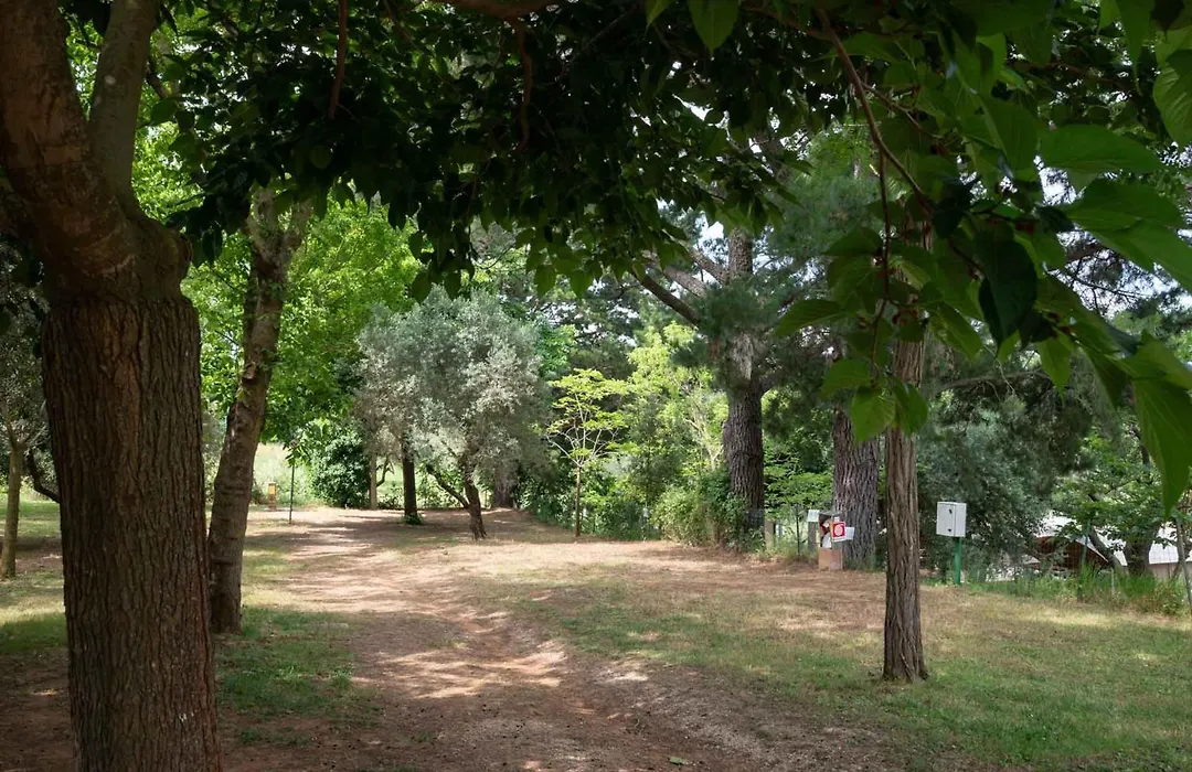 Blucamp Natural Village-1