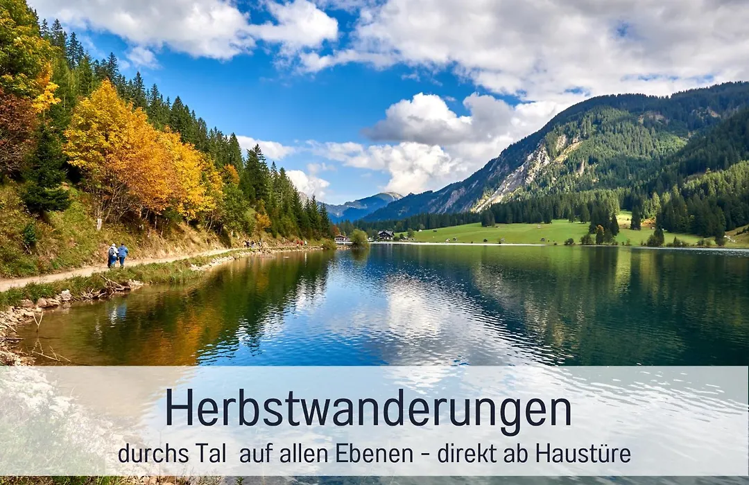 Ruhige zentrale Apartments mit privater Infrarotsauna&Bergblick in Tannheim-1