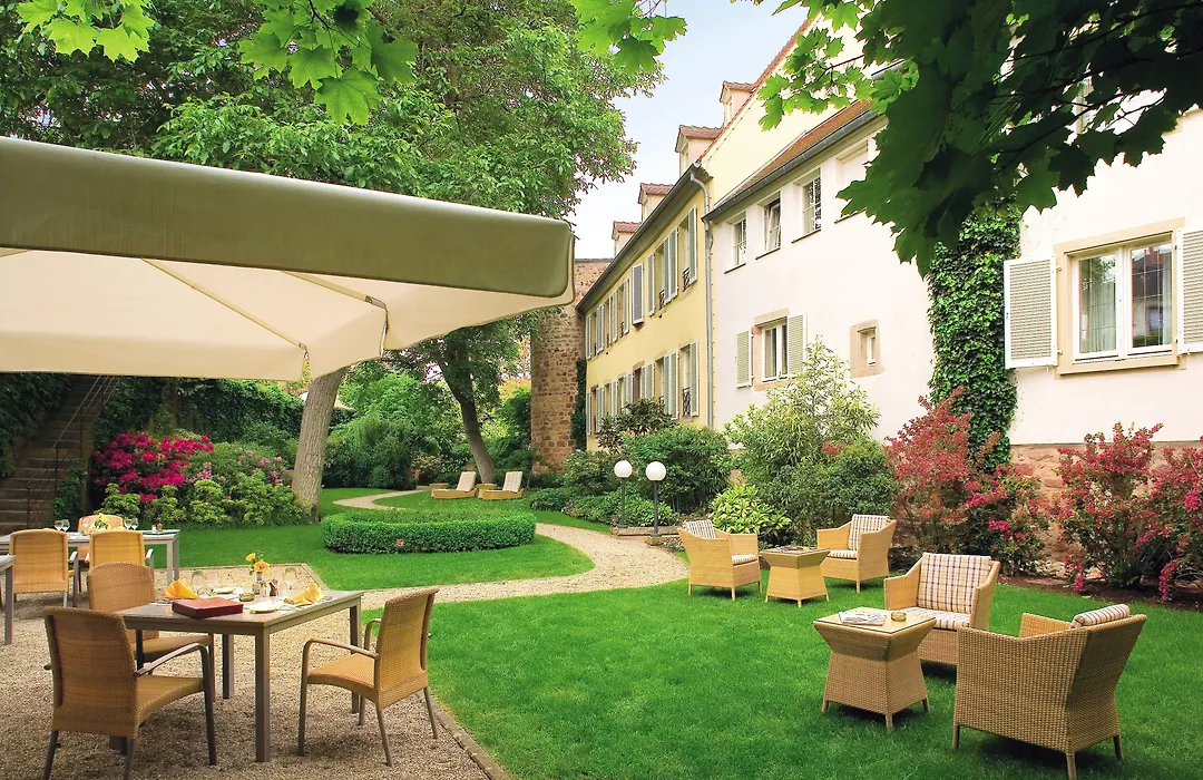 Hotel & Spa A La Cour D'Alsace By Happyculture-1