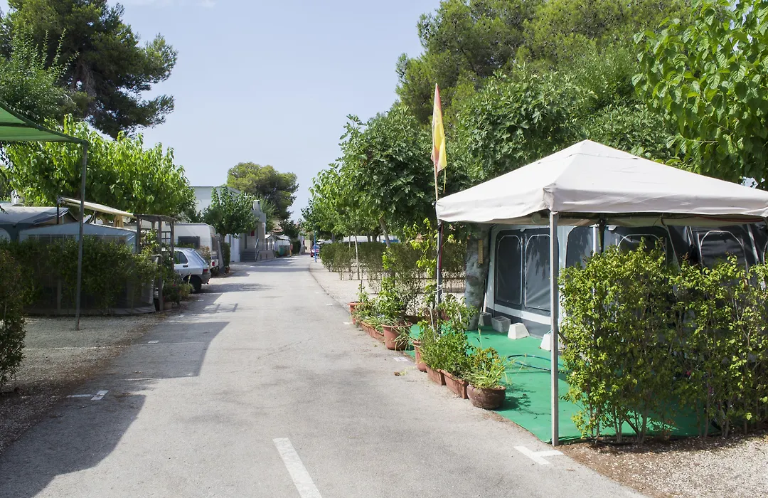 Camping Arena Blanca-1