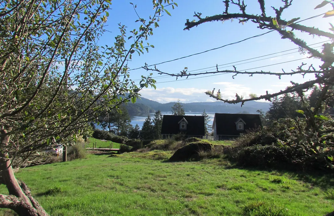 Moonlit Cove B&B-1
