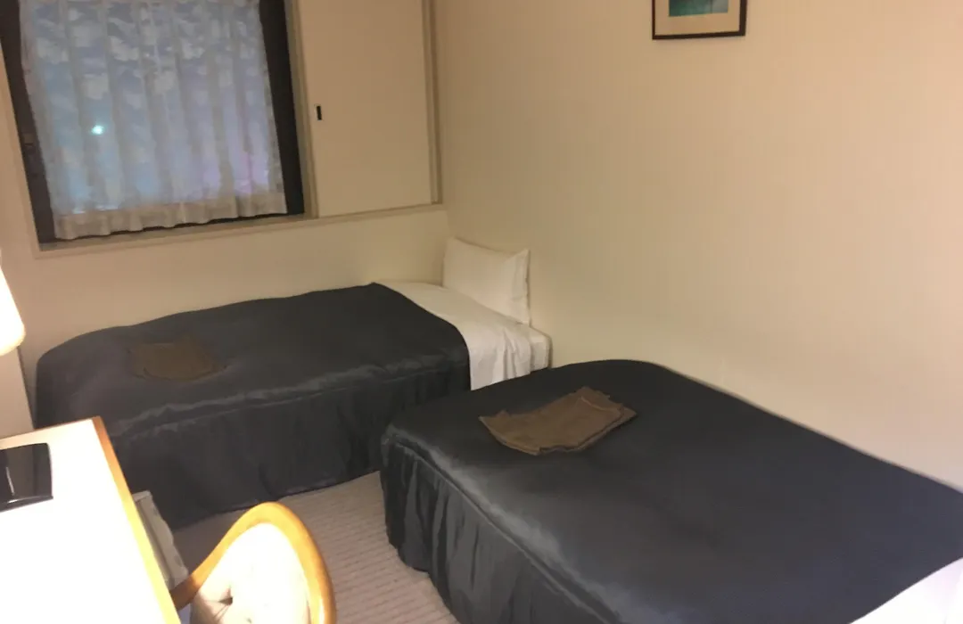 Niigata Daiichi Hotel-1