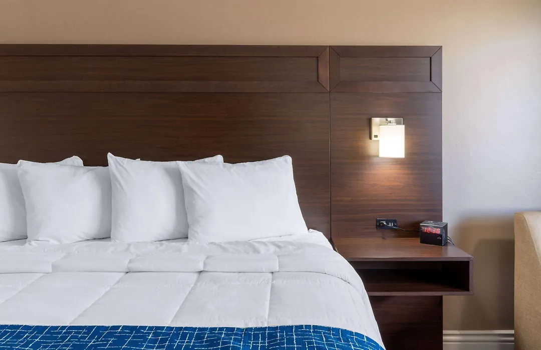 Travelodge By Wyndham Florence-1