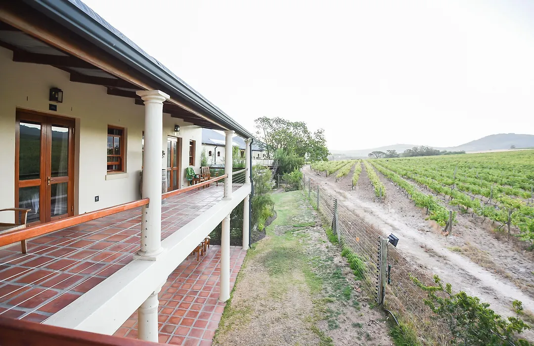 Lovane Boutique Wine Estate And Guesthouse-1