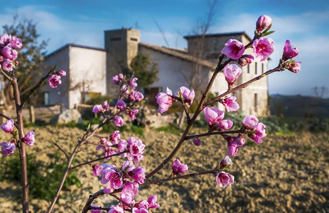 Agriturismo Cignale-1