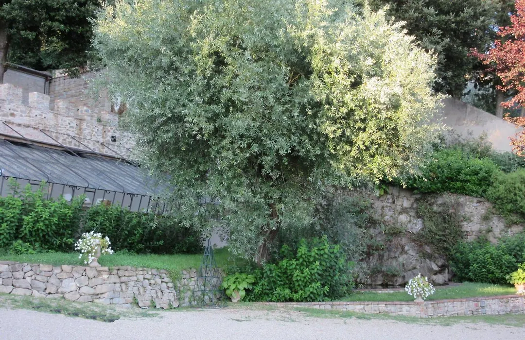 Villa Le Fontanelle - Residenza d'Epoca-1
