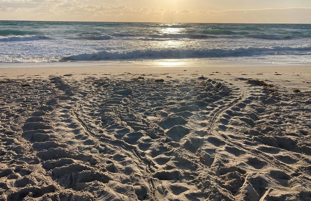 Sand Dune Shores-1
