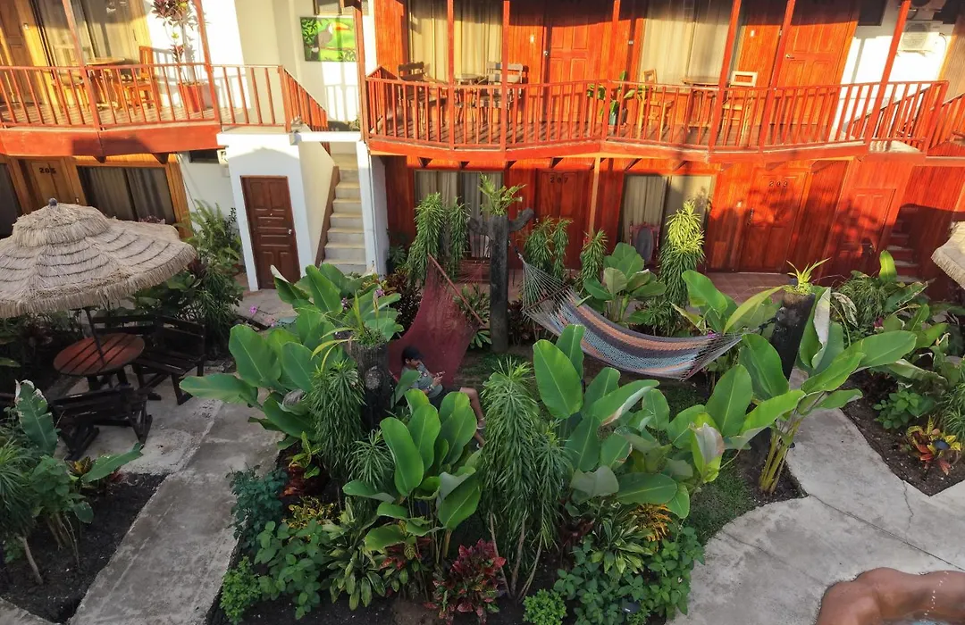 Poshtel Arenal-1