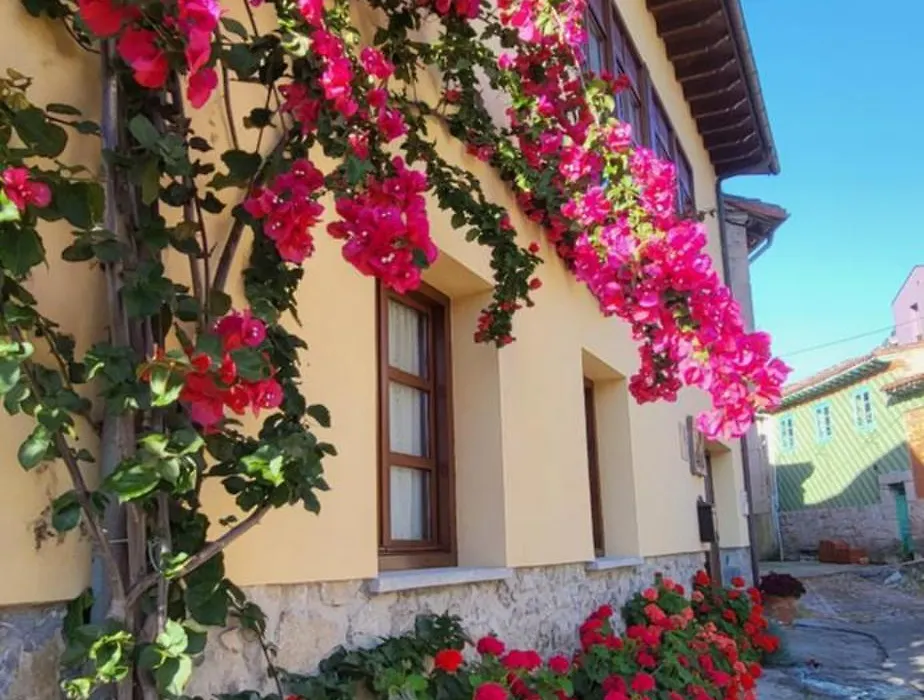 Casa Pelayin-1