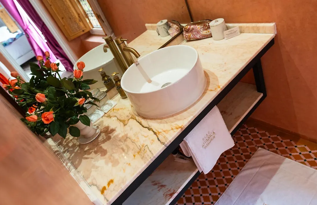 Riad Botanica-1