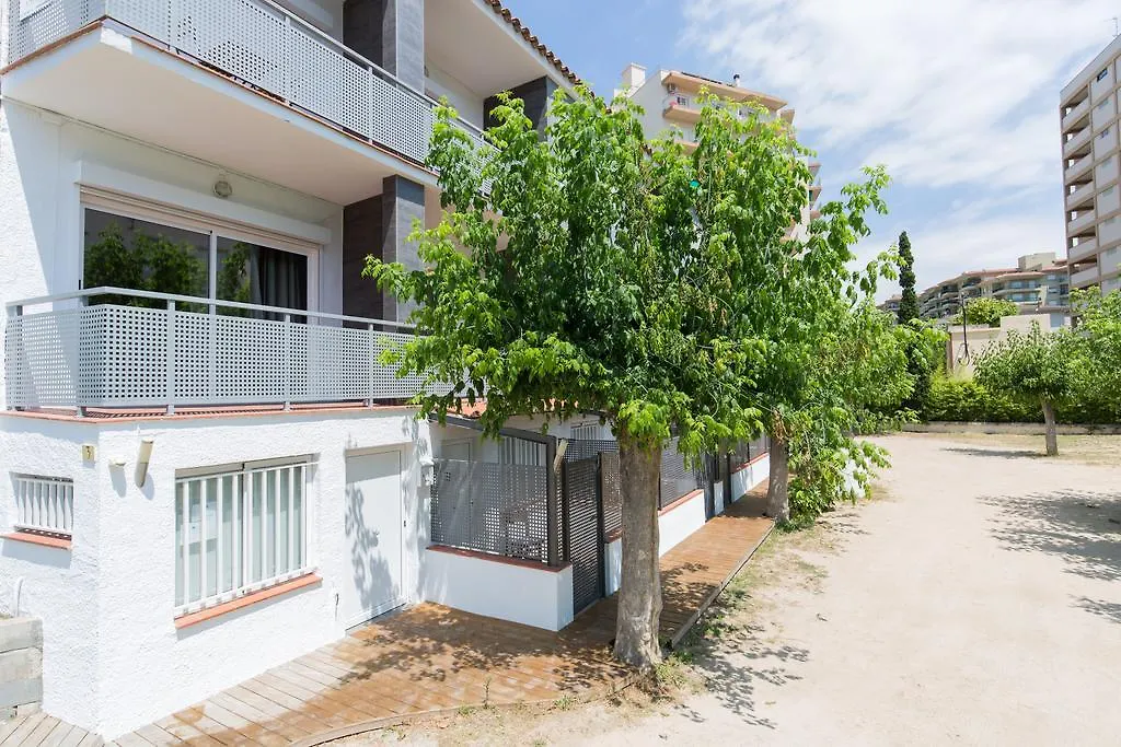 Estudis Laura-1