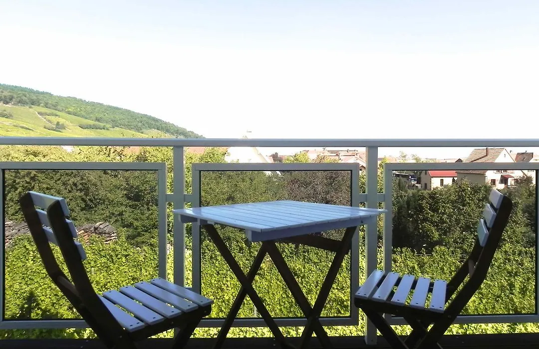 Au Coeur Du Vignoble-1