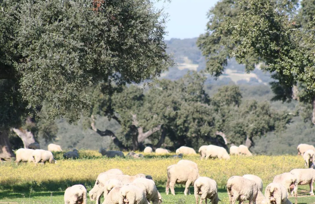 Monte Alto Agroturismo-1