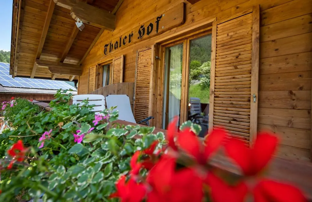 Thalerhof Tiers-1