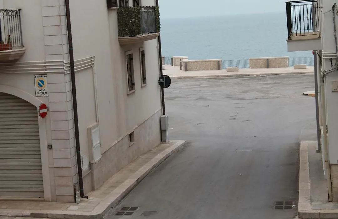 Casa Mirò-1