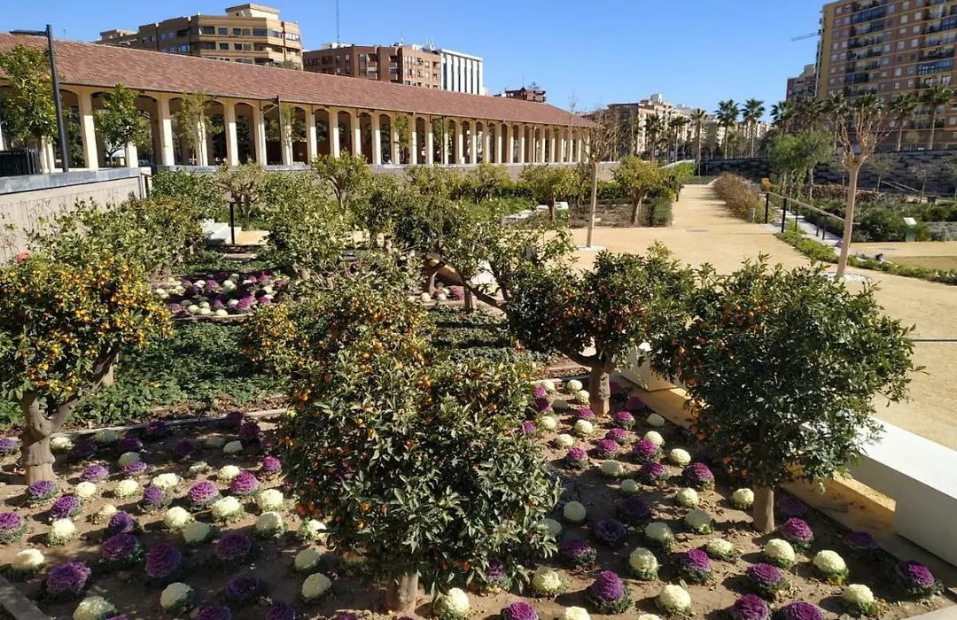 Apartamento Turistico en Valencia-1