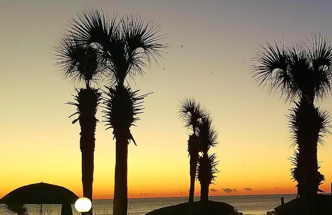 The Palms Resort-Oceanfront-1