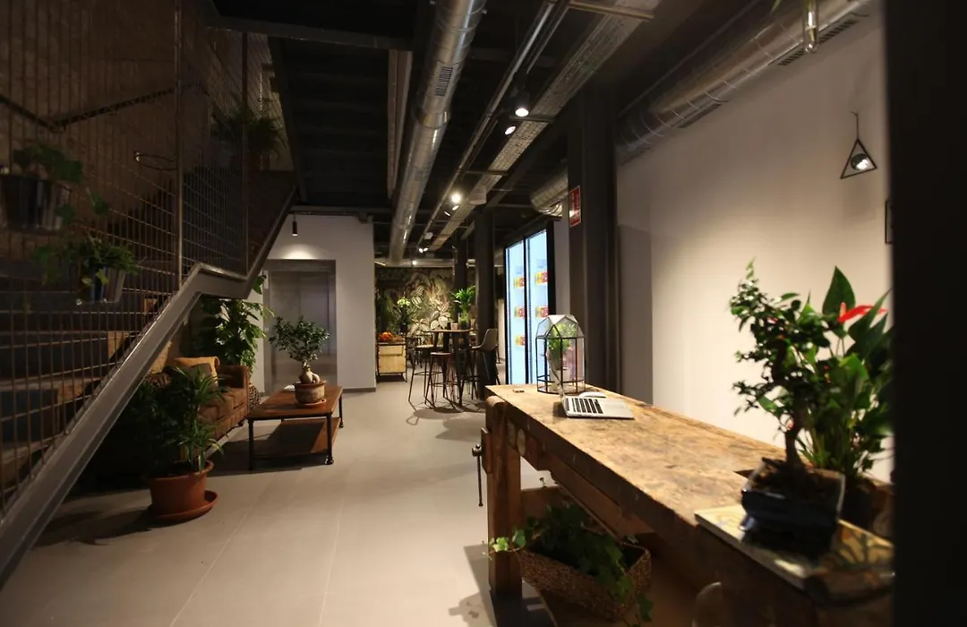 Vtz The Botanic Hostel-1
