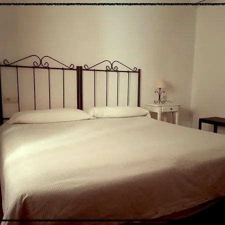 Apartamento Rural Las Palmeras-2